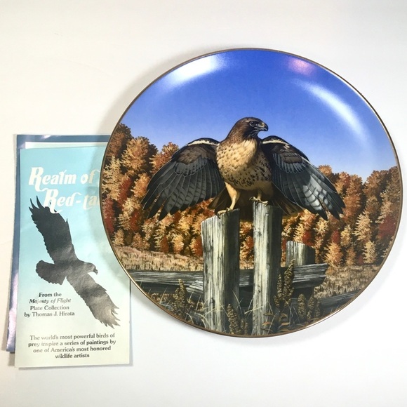 Thomas J Hirata “Realm of the Red Tail” vtg plate - Picture 4 of 5